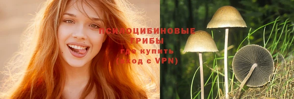 прущие грибы Козловка