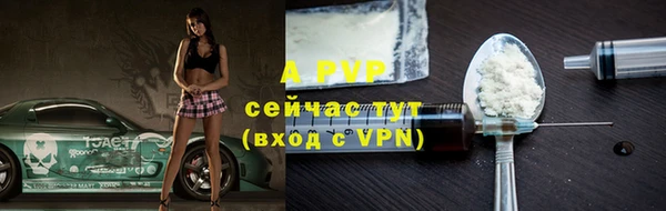 прущие грибы Козловка