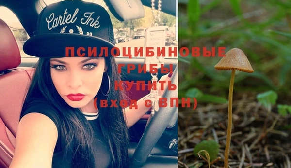 ECSTASY Кодинск
