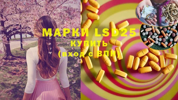 прущие грибы Козловка