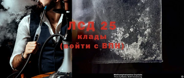 прущие грибы Козловка